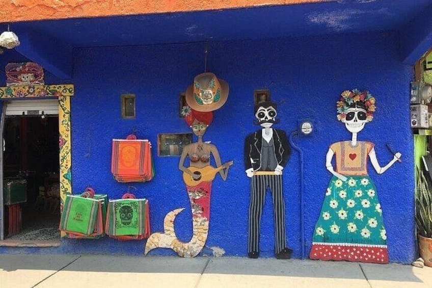 Private Sayulita and San Pancho Beach Towns Tour 2