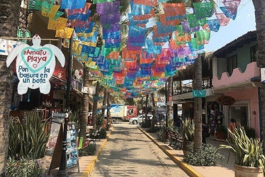 Private Sayulita and San Pancho Beach Towns Tour 4