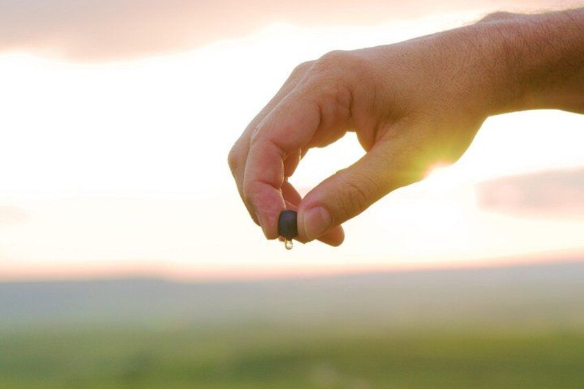 A hand holding a small object against a sunset background. 3