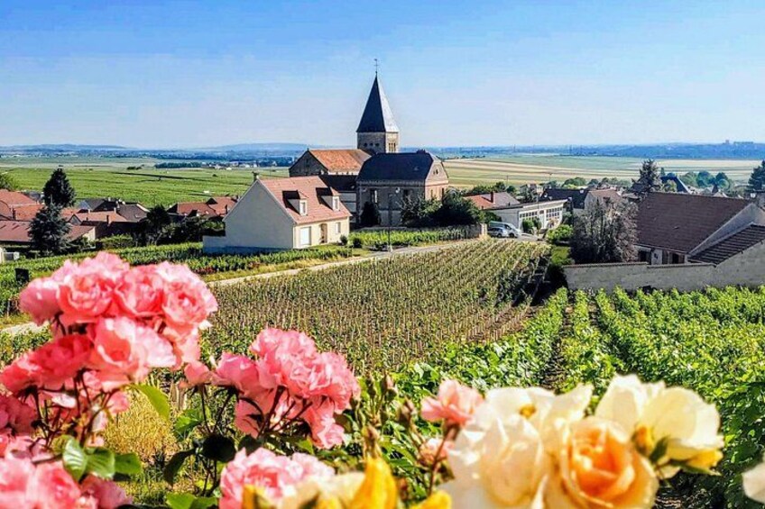 Un viñedo, una iglesia y flores floreciendo. 4