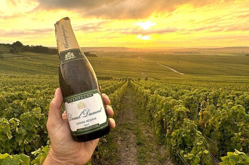 A hand holding a bottle of Daniel DuMond champagne in a vineyard at sunset. 2