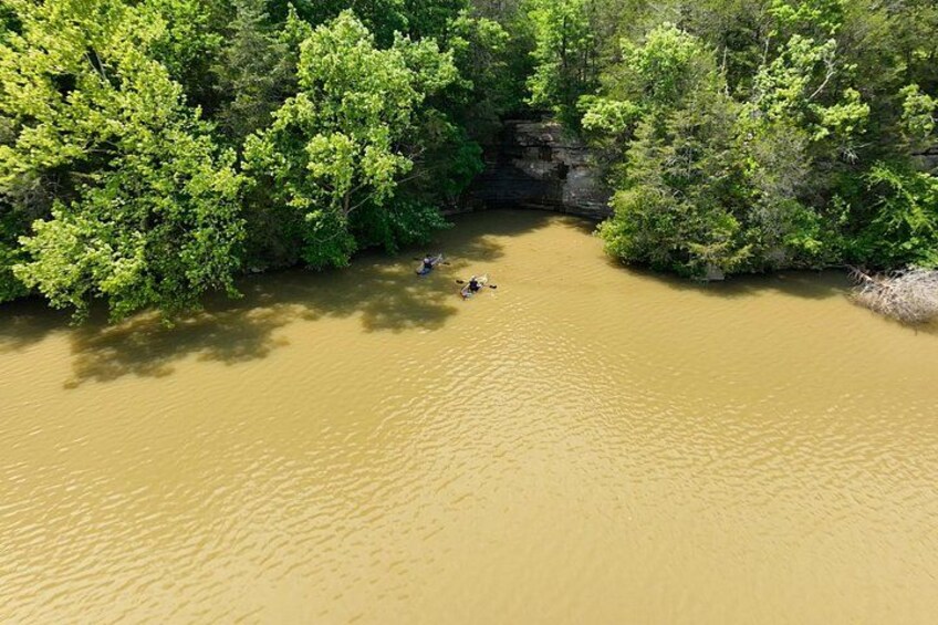 A river surrounded by dense green foliage. 4