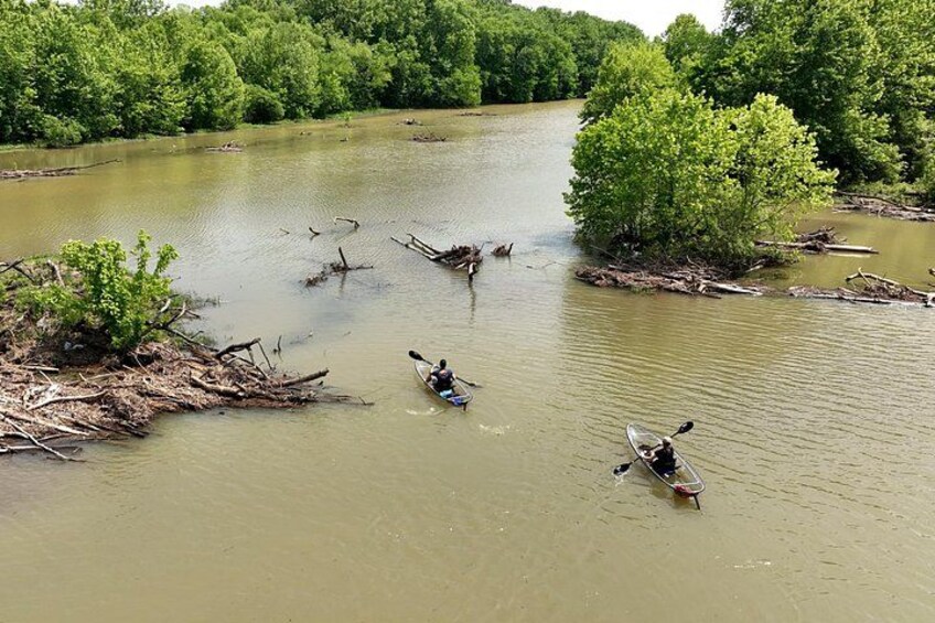 A river with kayaks, dense greenery, and fallen trees. 3