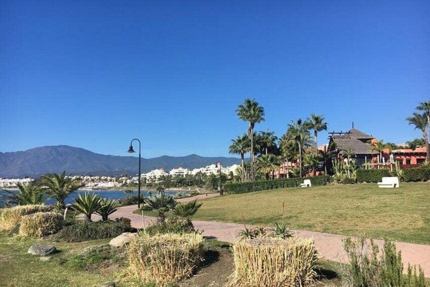 3-Hour Private Guided Bicycle Tour in Marbella 4