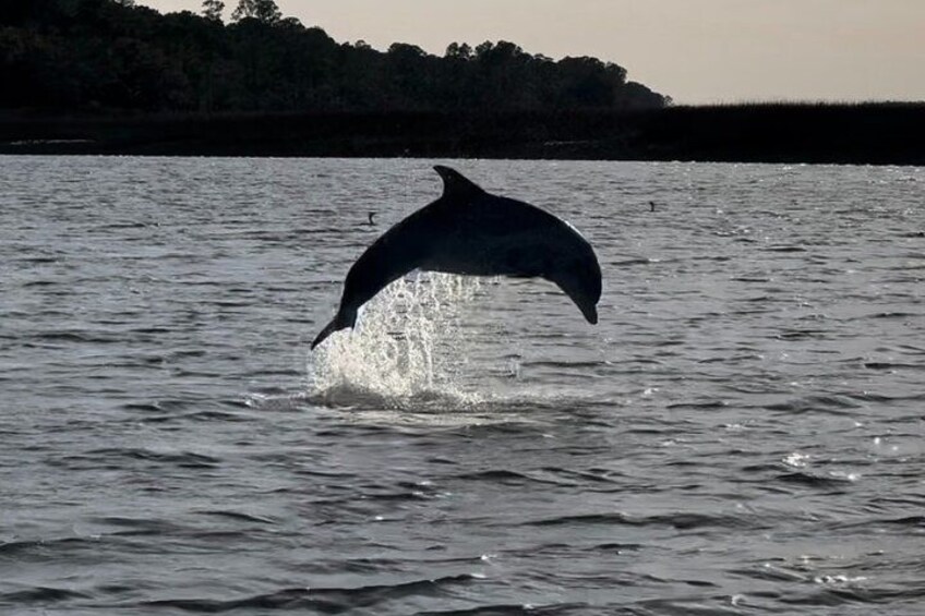 Private Charleston Sunset & Dolphin Cruise 4