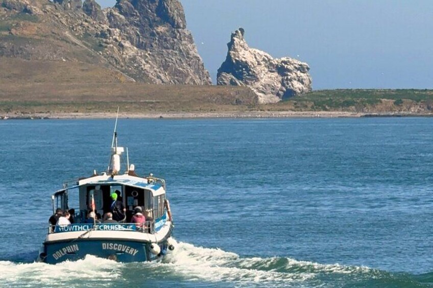 Un bateau appelé « Dolphin Discovery » navigue sur l’eau, avec une côte rocheuse en arrière-plan. 3