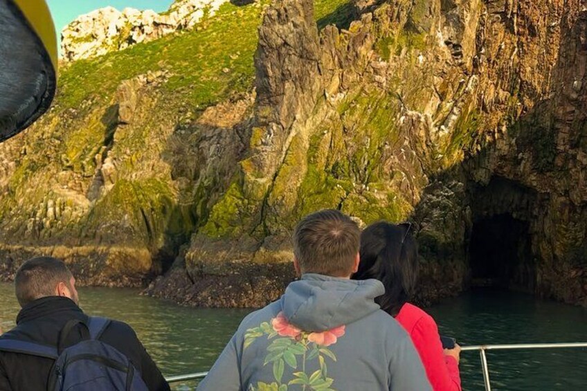 A group of people on a boat near rocky cliffs with green vegetation. 5