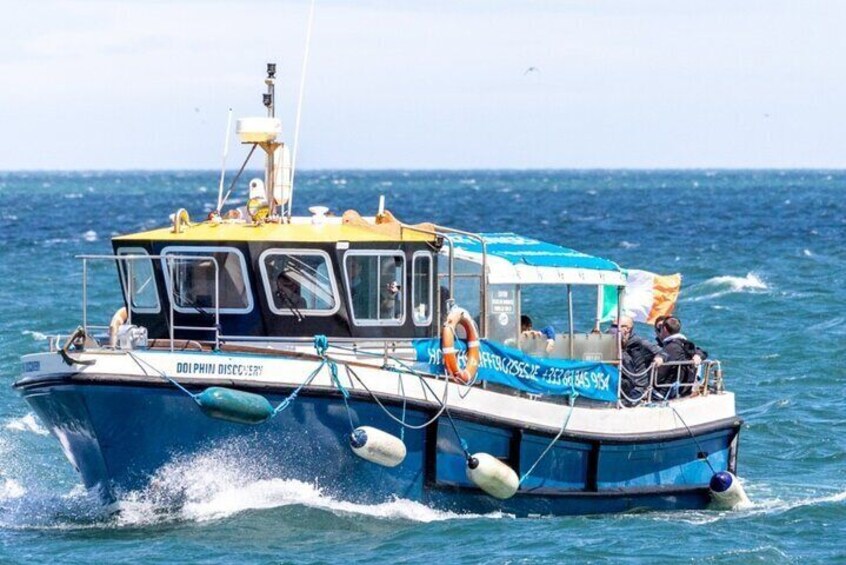 A blue and white boat named 'Dolphin Discovery' with passengers and a lifebuoy. 1