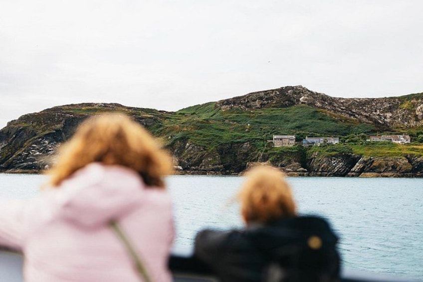 Ireland's Eye and Howth Coastal Boat Tour 3