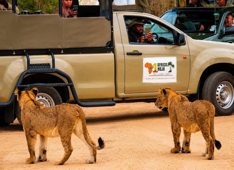 Kruger National Park 3 Days Best Ever Safari from Cape Town 1