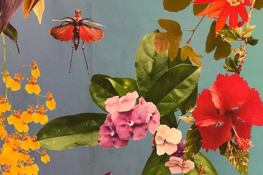 Verschillende bloemen, waaronder roze, rood en geel, met een groot insect op een blad. 2