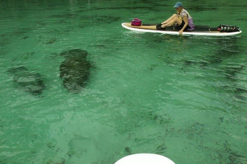 Paddle Boarding! 4
