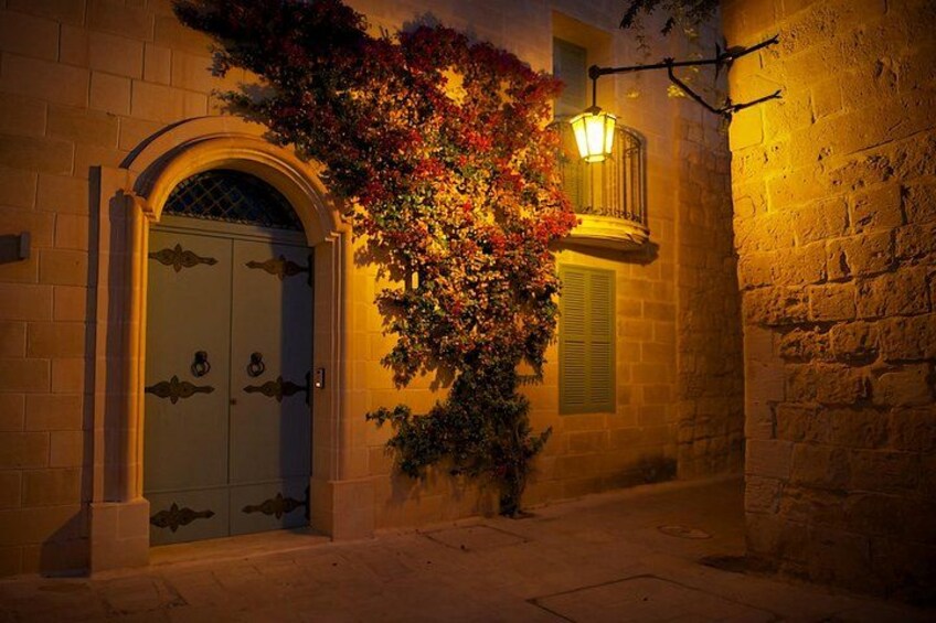 A stone building with a double door, a wall-mounted lantern, and climbing plants. 3