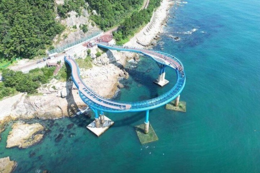 Busan Cruise Port – Premium Small Group Tour (Max 6 Guests) 2
