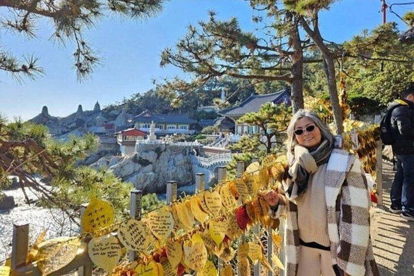 Busan Cruise Port – Premium Small Group Tour (Max 6 Guests) 2