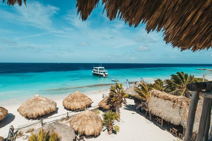 Una playa con sombrillas de paja, palmeras y un bote en el agua. 1