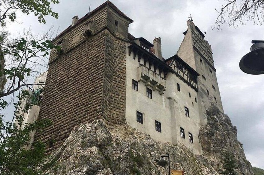 Bear Sanctuary and Bran Castle from Brasov 4