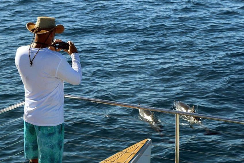 3 Zipline Adventure and 3.5 hour Afternoon Snorkel Cruise 3