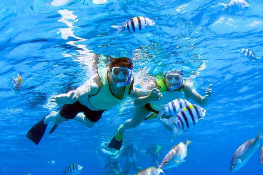 3 Zipline Adventure and 3.5 hour Afternoon Snorkel Cruise 1
