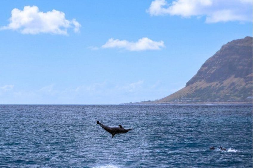 3 Zipline Adventure and 3.5 hour Afternoon Snorkel Cruise 2