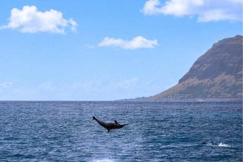3 Zipline Adventure and 3.5 hour Afternoon Snorkel Cruise 2