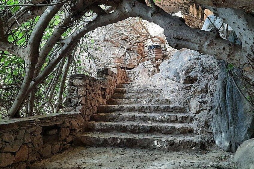 A stone staircase leading up to a structure, surrounded by trees and vegetation. 1
