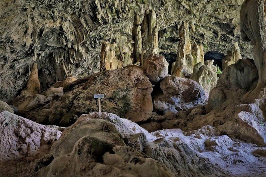 A cave with stalactites and a signpost. 4