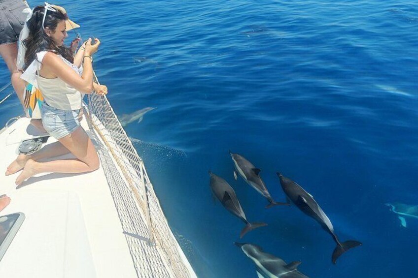 Un bote con gente observando delfines nadando cerca. 5