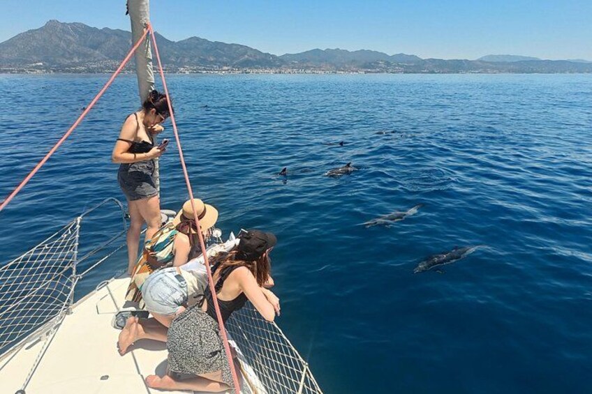Un grupo de personas en un barco, algunos mirando un teléfono y otros observando delfines en el agua. 2