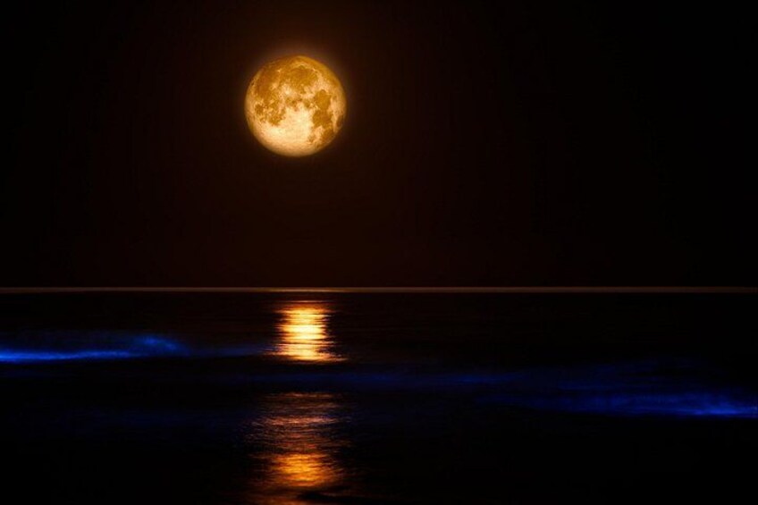 Een volle maan die in een rustige zee weerspiegelt, 's nachts. 4