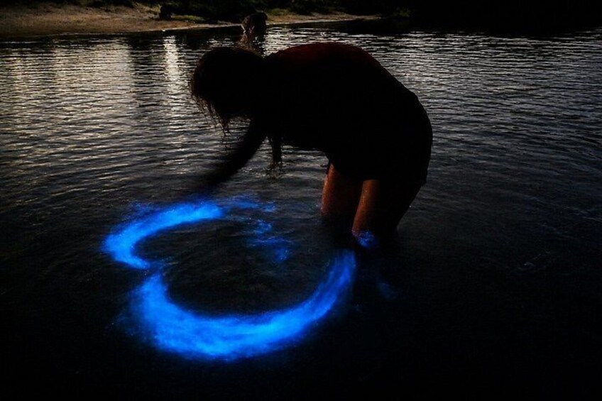 Magic After Dark Bioluminescence Kayak Tour Orlando 2