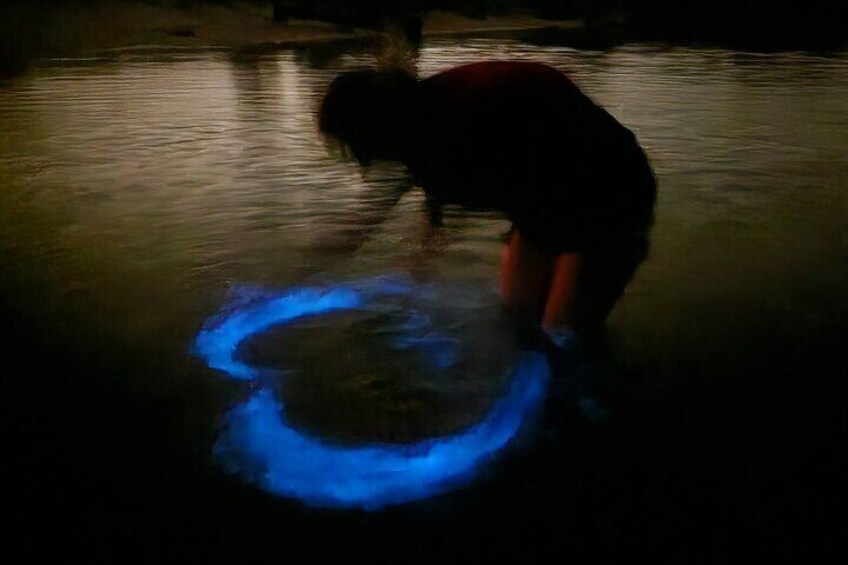 Drawing a heart into the bioluminescence.