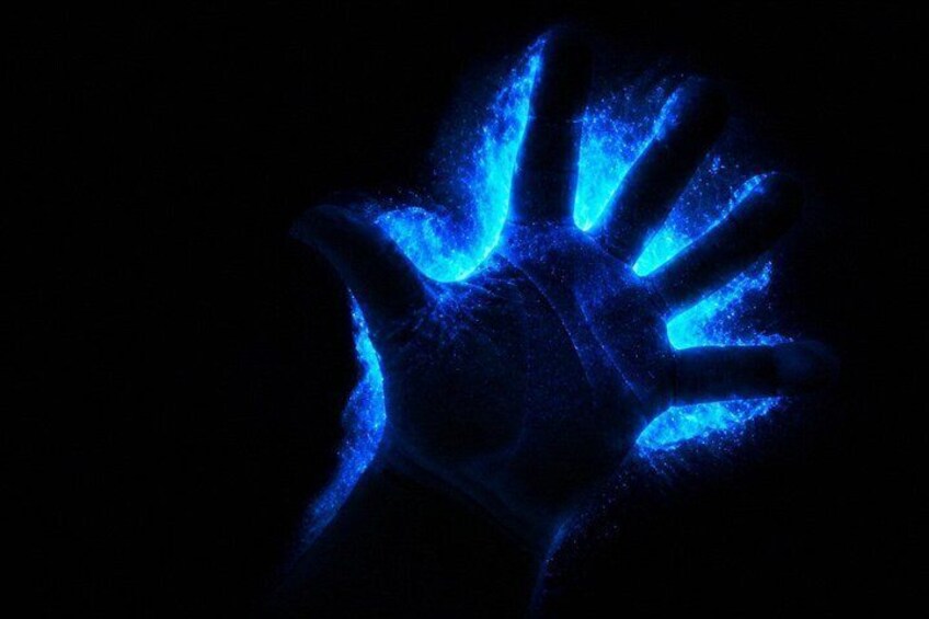 Magic After Dark Bioluminescence Kayak Tour Orlando 5