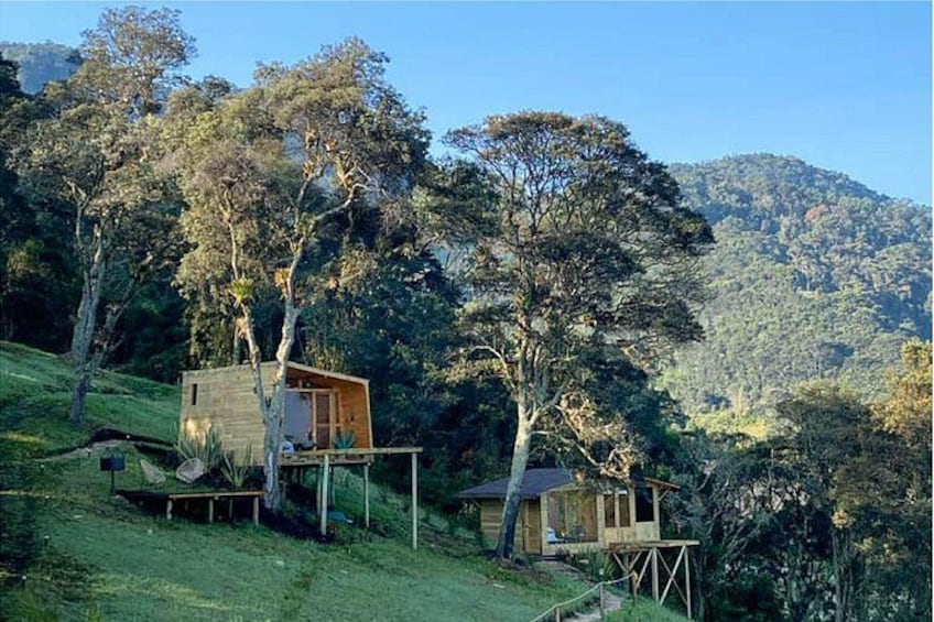 Une cabane en bois située sur une colline, d’où l’on a une vue sur une montagne boisée. 5