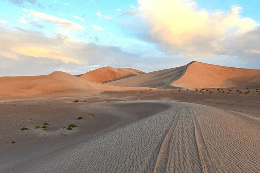 Doha Layover Desert Safari: Dune Bashing, Camel Ride & Inland Sea 5