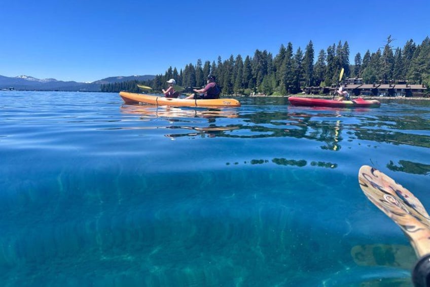 Lake Tahoe's West Shore Best Shore Kayak Tour 4