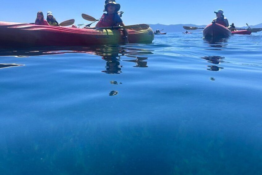 Lake Tahoe's West Shore Best Shore Kayak Tour 3
