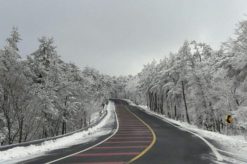 As one of Korea’s 3 spirit mountains, Hallasan Mountain is located on the southernmost part of the Korean Peninsula,and lays claim to the title of South Korea’s tallest mountain with the height of 1,9 2