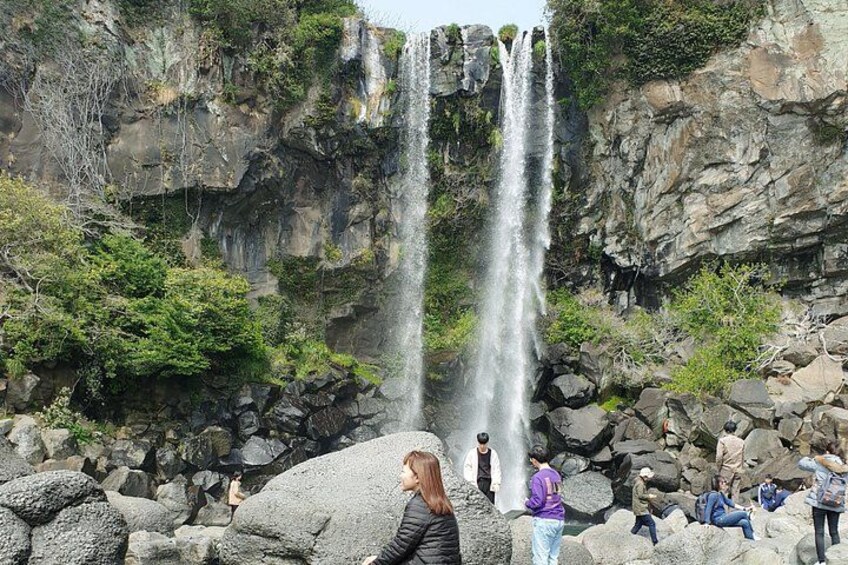 Jeju Island Private Taxi Tour in O`sulloc & Innisfree & Iho Beach 4