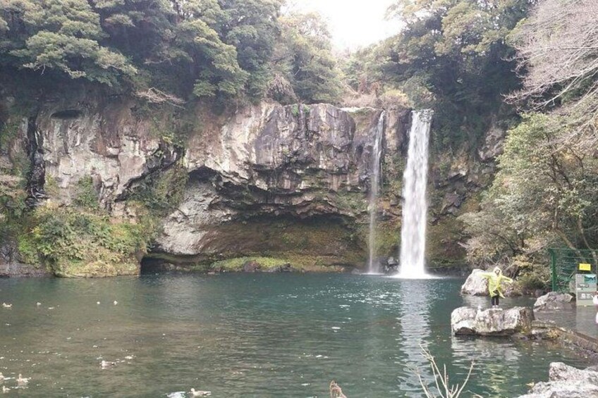 At Cheonjiyeon Falls, white water falls from the rock cliff and make a thundering sound. It gets its name because it means “sky connected with land.” It is 22m high and 12m wide 3