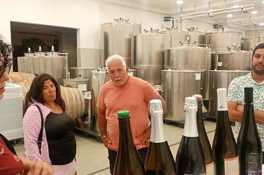 Etna Jeep OffRoad Tour: Lava Flows,Etna Wines,Lunch at 6,561 ft 5