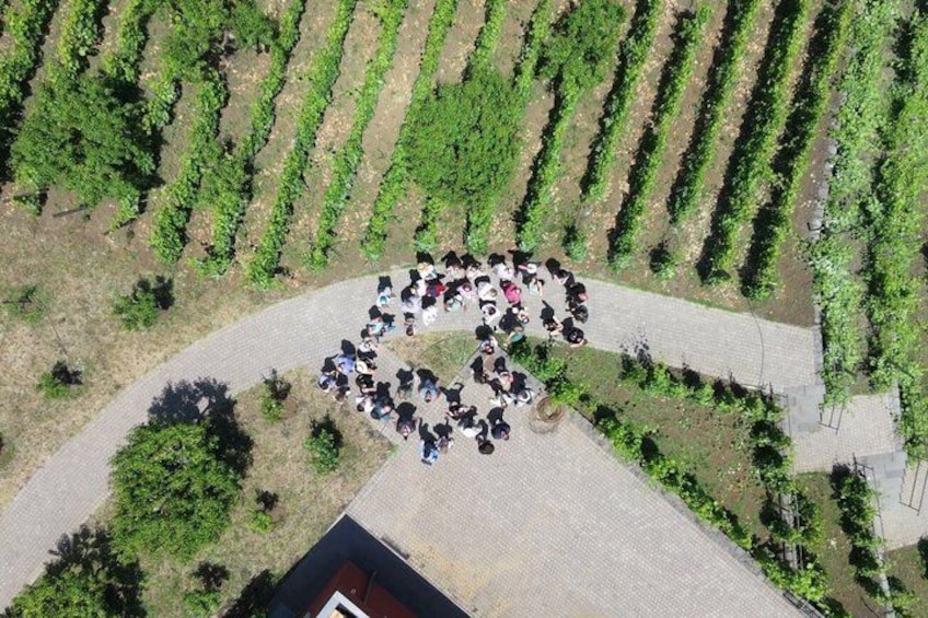 Etna Jeep OffRoad Tour: Lava Flows,Etna Wines,Lunch at 6,561 ft 4