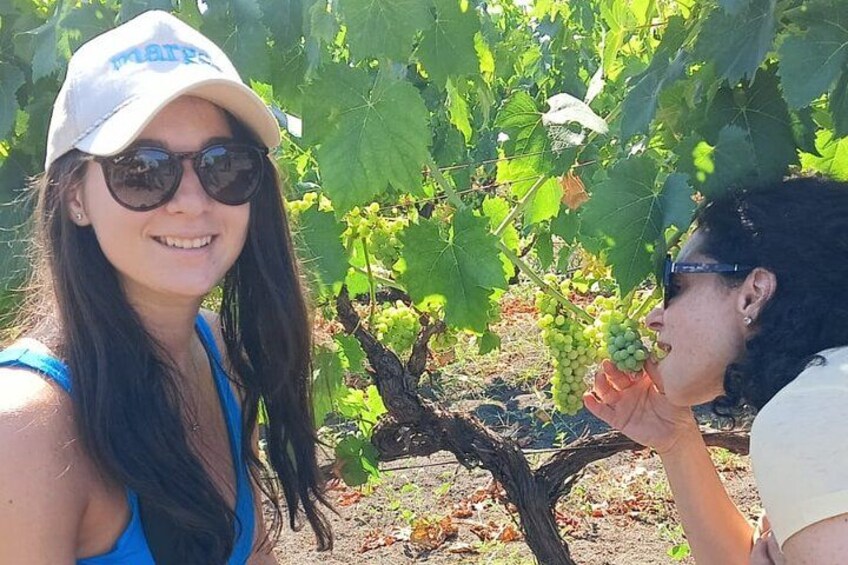 Etna Jeep OffRoad Tour: Lava Flows,Etna Wines,Lunch at 6,561 ft 3