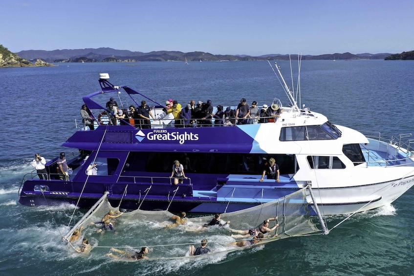 Picture 1 for Activity From Paihia: Day in the Bay Cruise 4