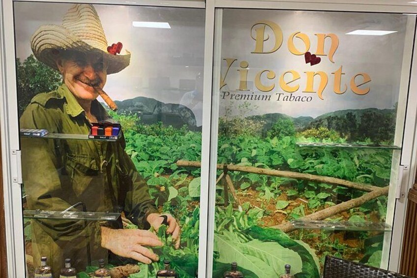 A tobacco plantation with a person harvesting tobacco leaves. 5