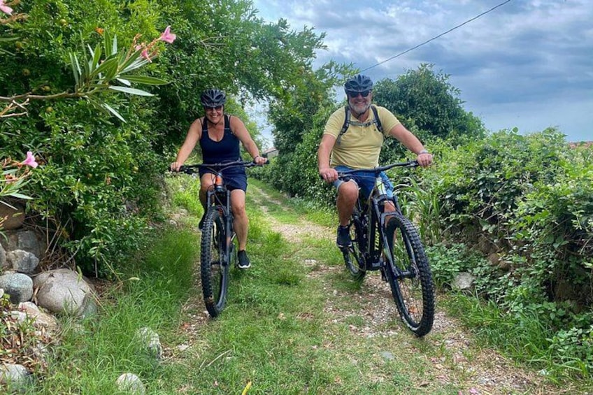 E-Bike tour and Wine tasting in the Austrian Fort from Pastrengo 1