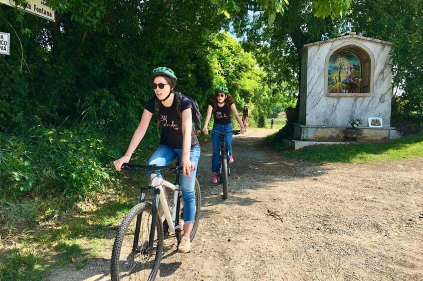 E-Bike tour and Wine tasting in the Austrian Fort from Pastrengo 5