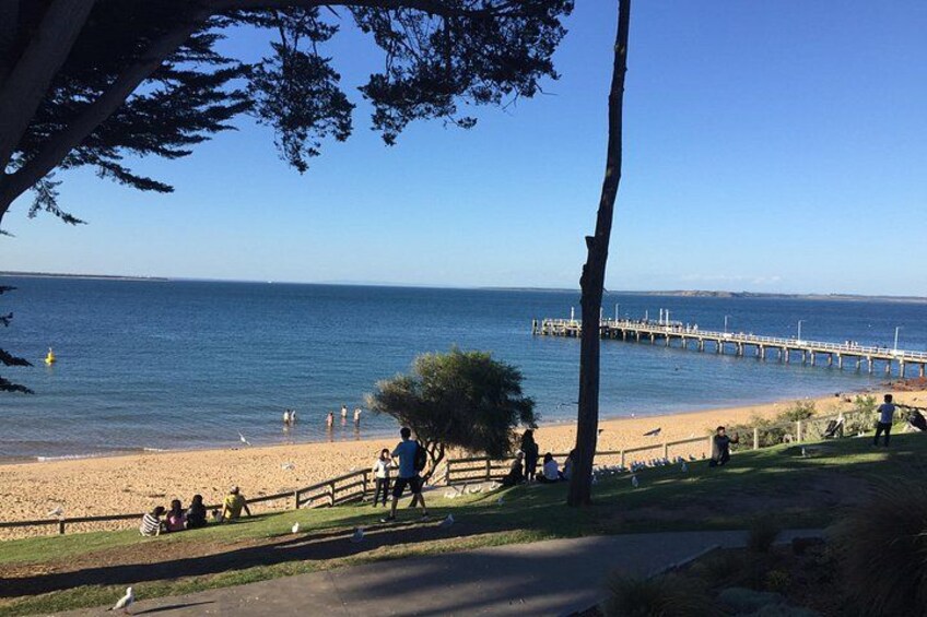 A beach with people, a pier, and a tree. 2