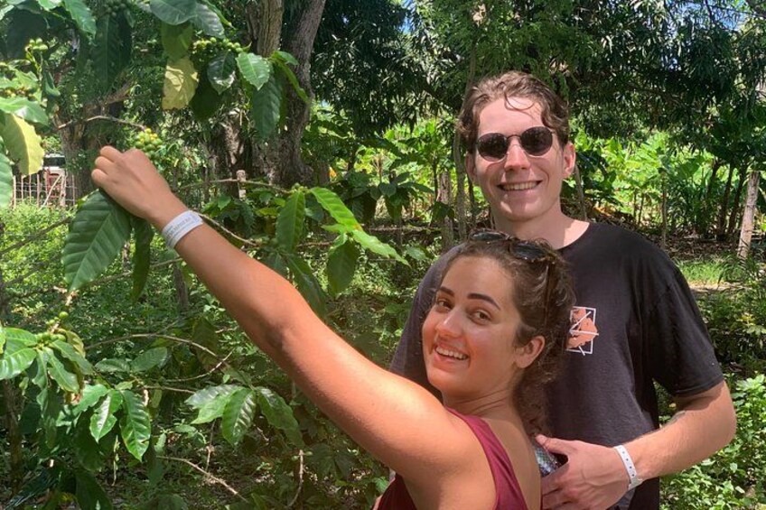 Tour To The Damajagua Waterfalls 2