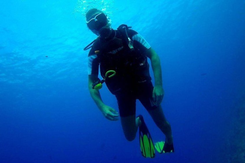 A person scuba diving underwater. 3